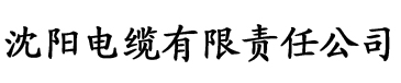 自建房电缆厂logo